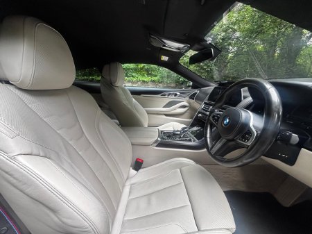 2020 BMW 8-Series - photo 20