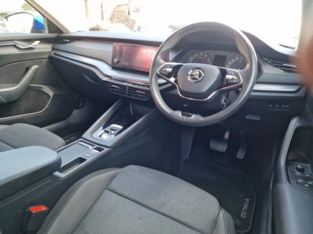 2021 Skoda Octavia - photo 17