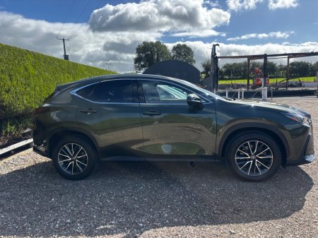 2023 Lexus NX - photo 2