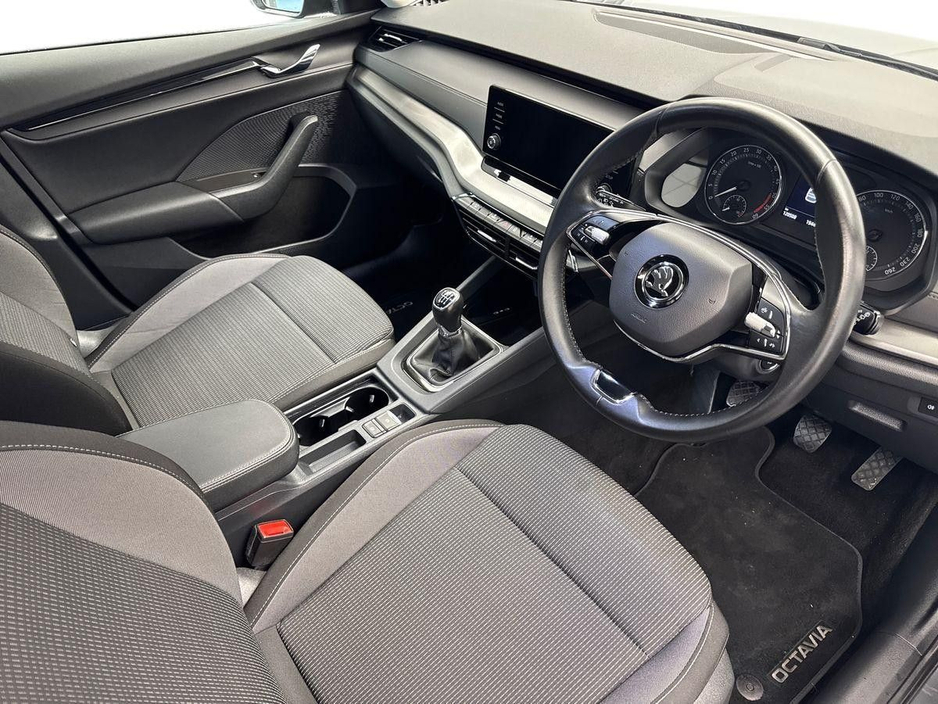 2023 Skoda Octavia - image 6