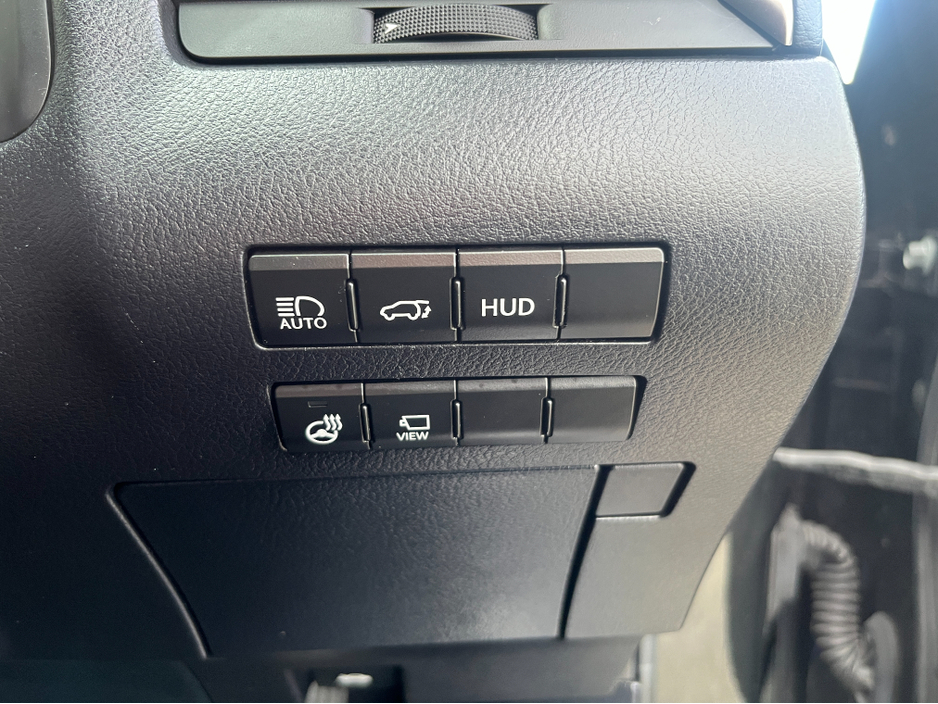 2016 Lexus RX 450 h - image 30