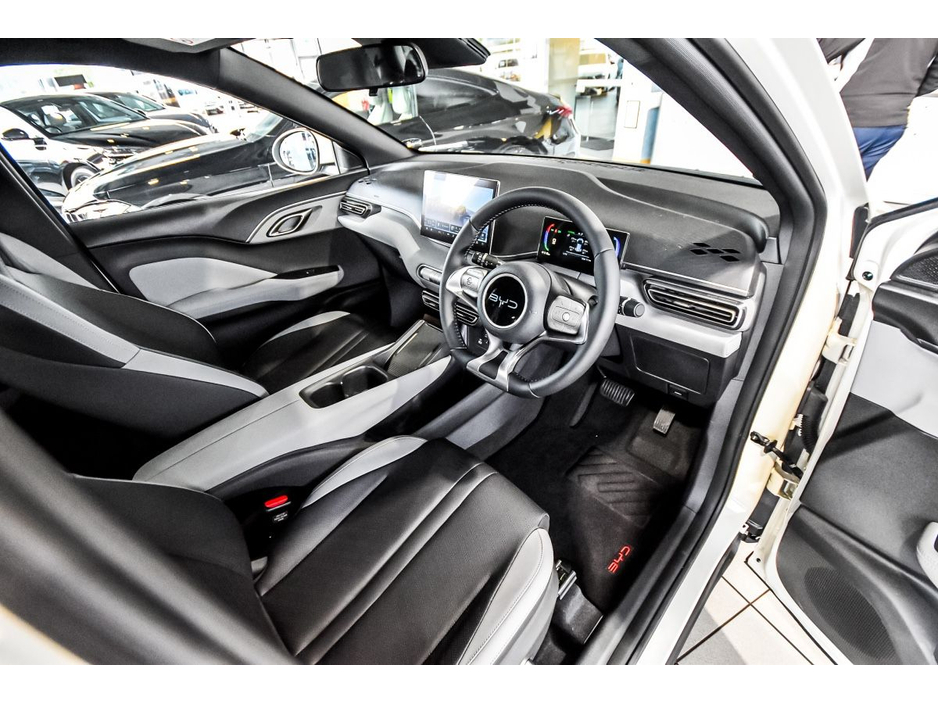 2026 BYD Dolphin Surf - image 8