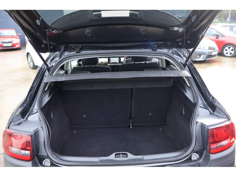 2016 Citroen C4 Cactus BLUE HDI FLAIR €11,295