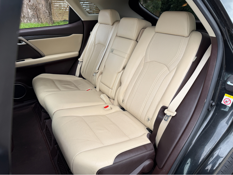 2017 Lexus RX 450 h - image 24