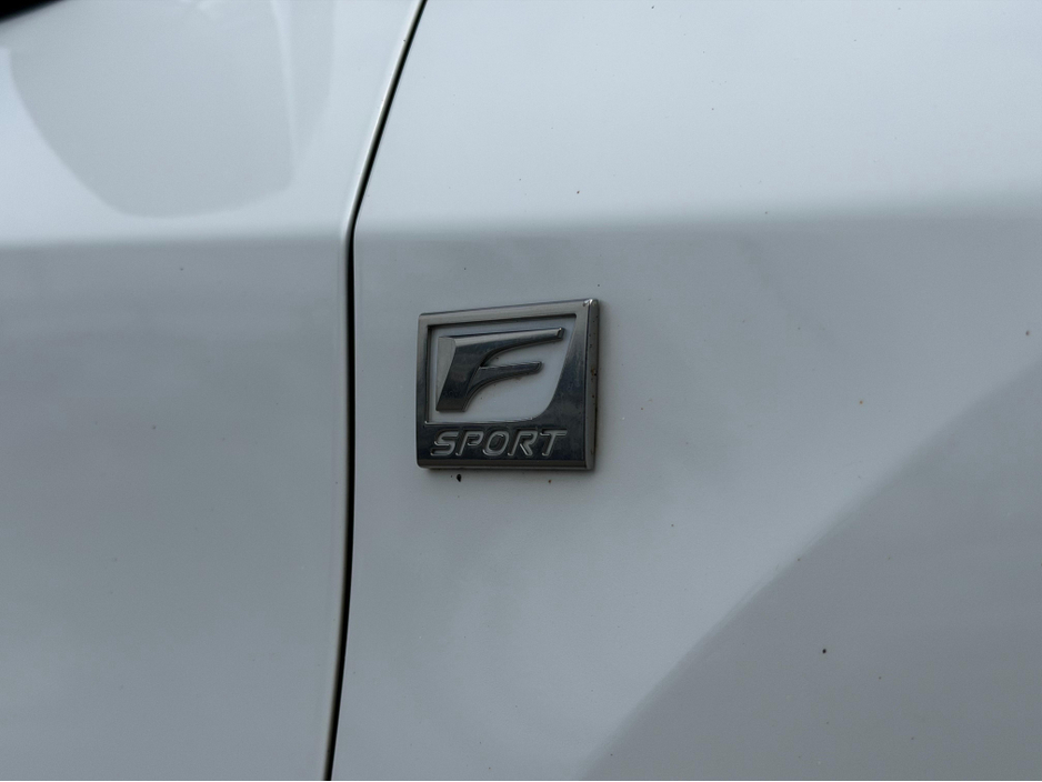 2016 Lexus RX 450 h - image 10