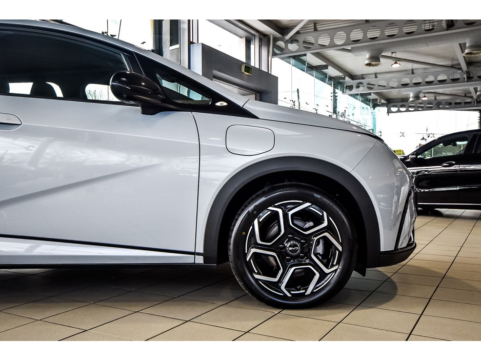 2026 BYD Dolphin Dolphin Comfort 427km Range €33,750