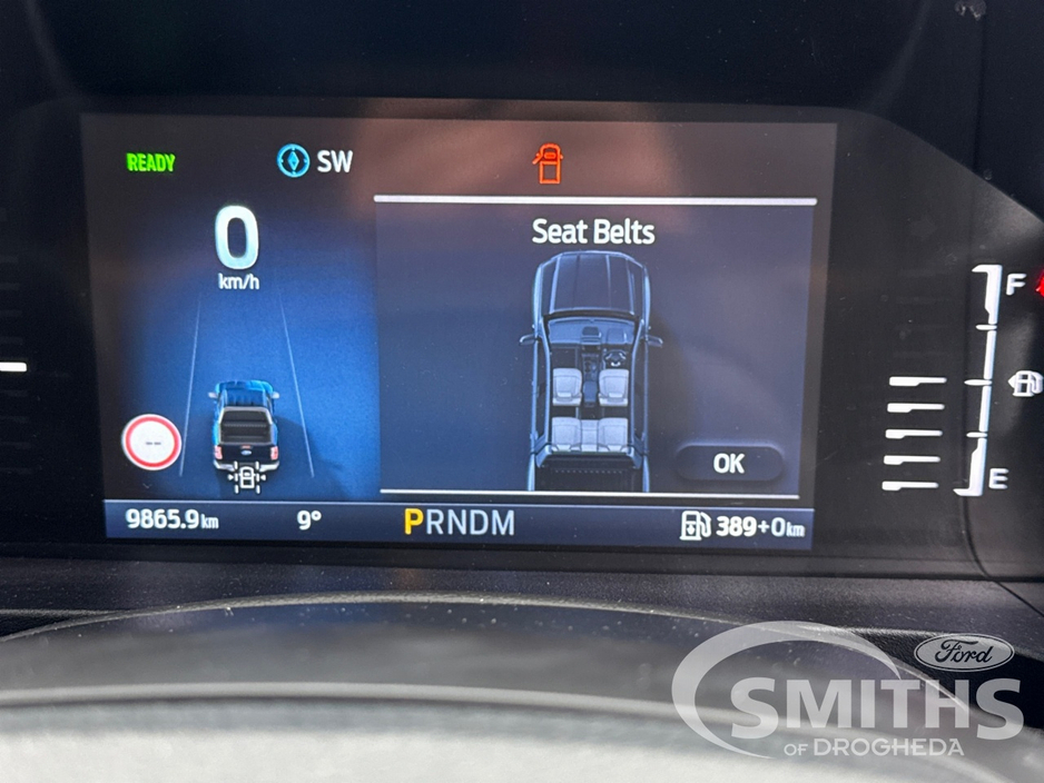 2025 Ford Ranger WILDTRAK 2.3 *PHEV * 280PS AUTO €49,950