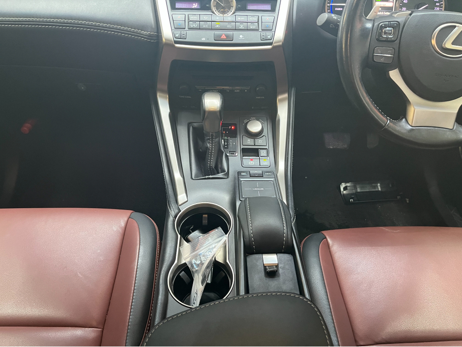 2017 Lexus NX 300 h - image 22