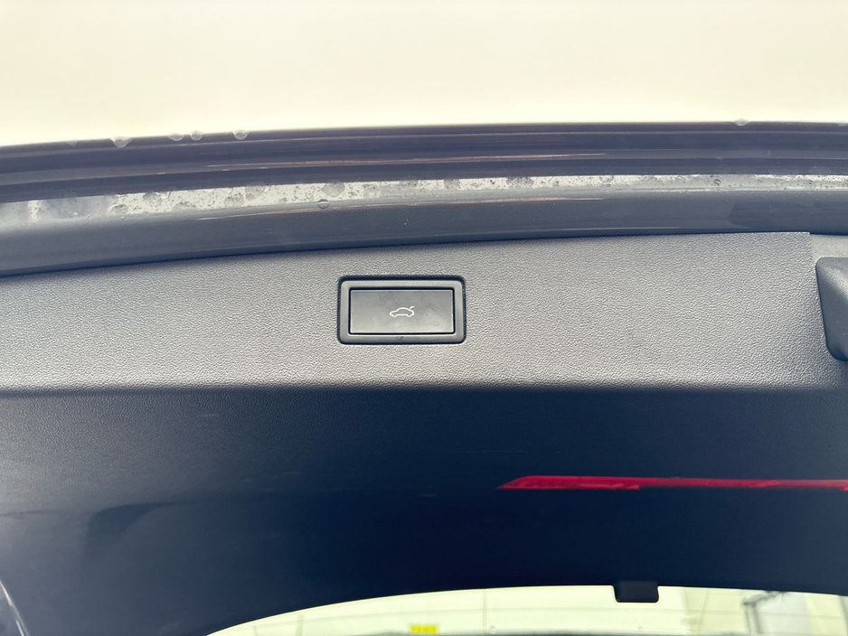 2025 Volkswagen Tiguan - image 15