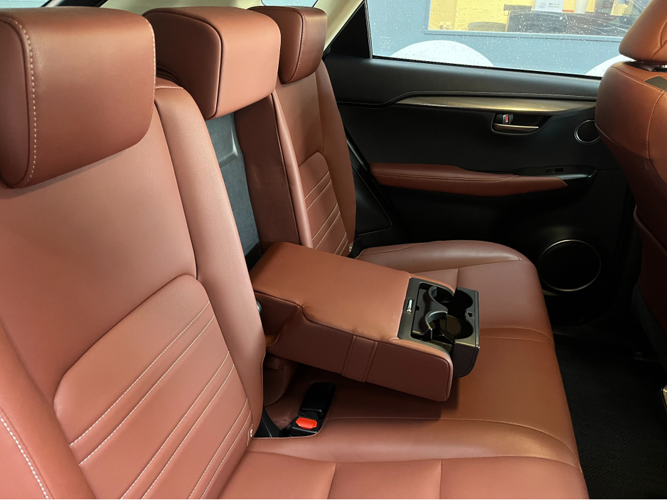 2017 Lexus NX 300 h - image 16