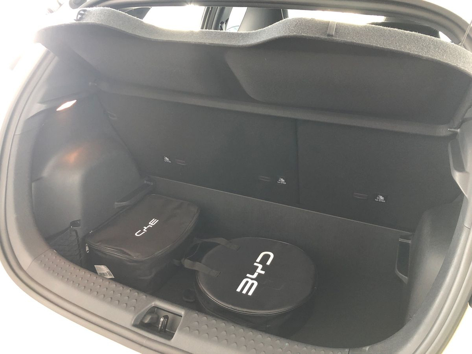 2026 BYD Dolphin - image 20