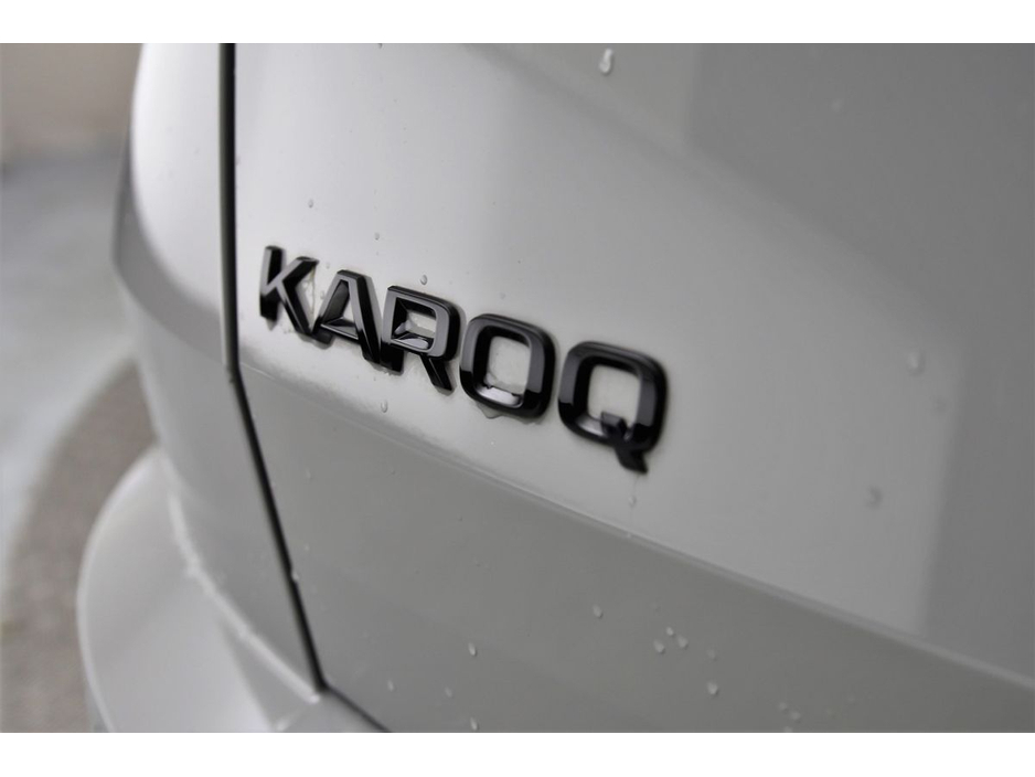 2024 Skoda Karoq - image 14