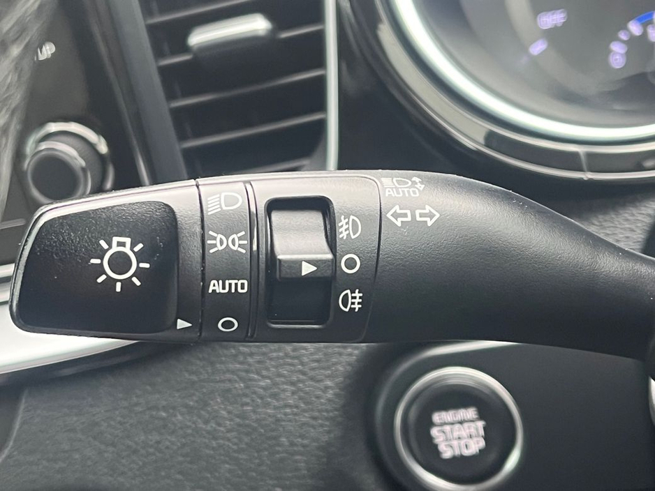 2021 Kia Ceed - image 6