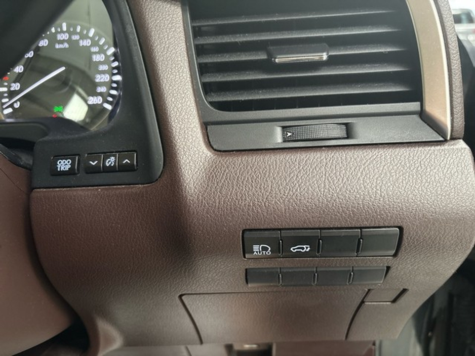 2019 Lexus RX 450 h - image 16