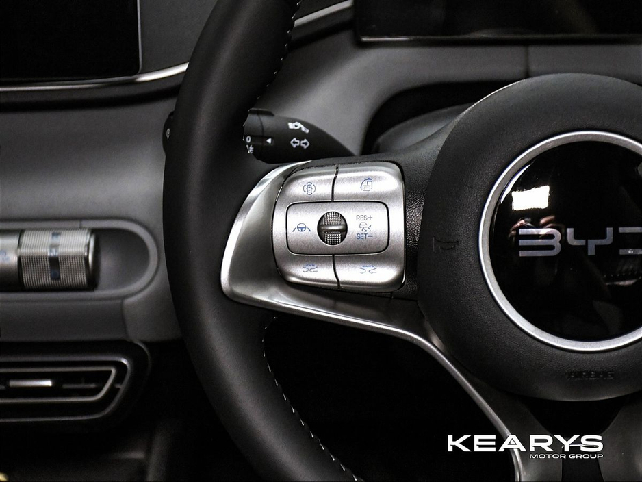 2026 BYD Dolphin Surf - image 13