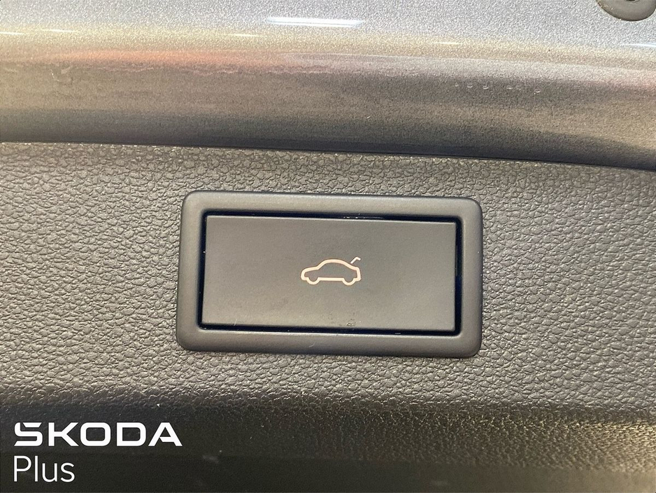 2024 Skoda Kodiaq - image 26