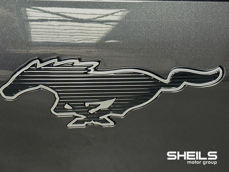 2023 Ford Mustang Mach-E - image 16