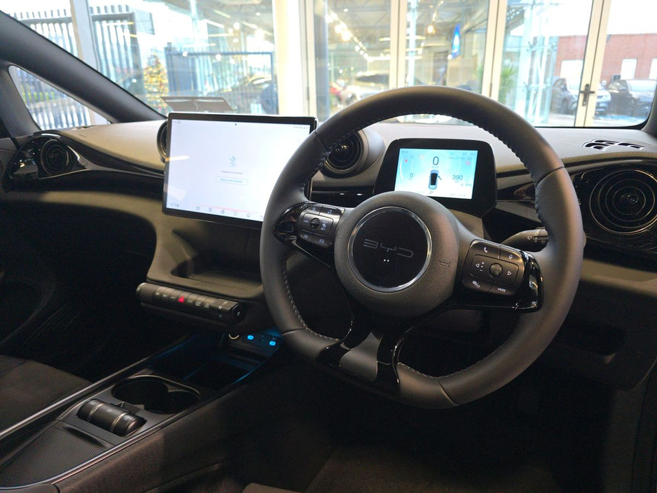 2026 BYD Dolphin - image 20