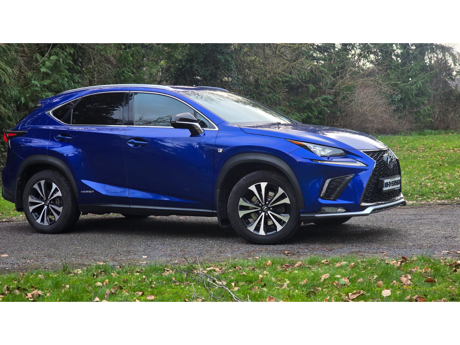 2018 Lexus NX 300 h - image 3