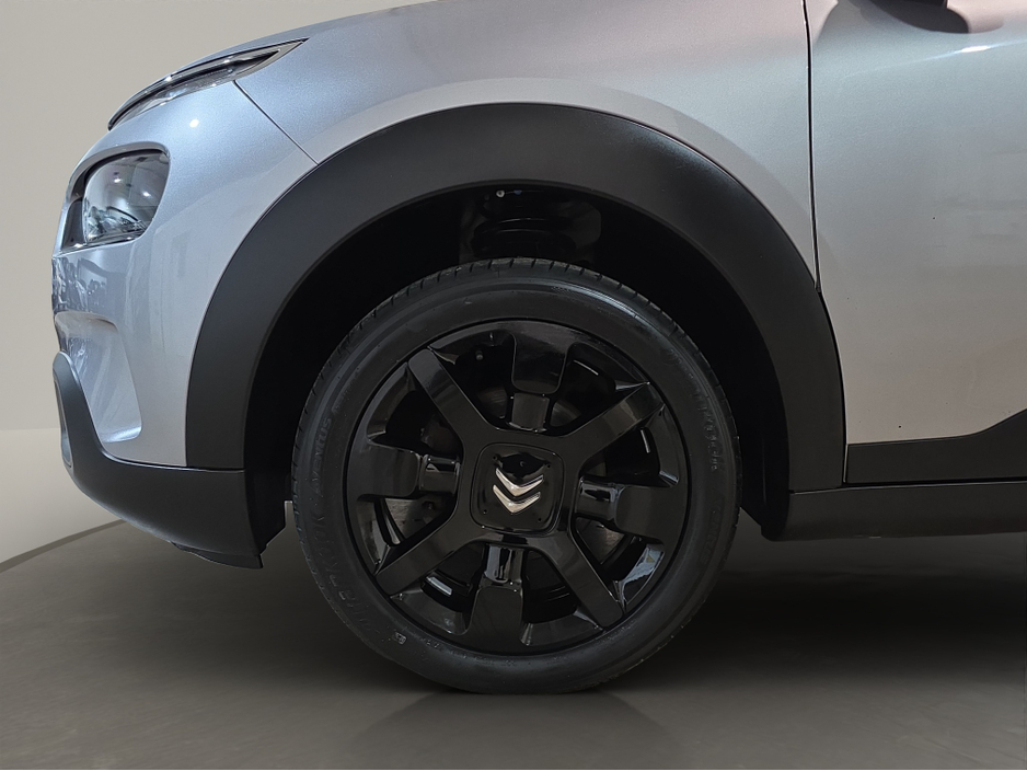 2019 Citroen C4 Cactus CACTUS FEEL PURETECH 110 S& S&S 4 €14,950