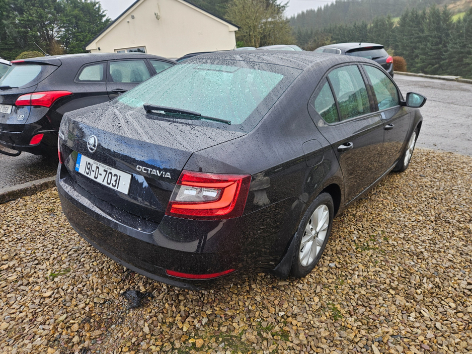 2019 Skoda Octavia - image 8
