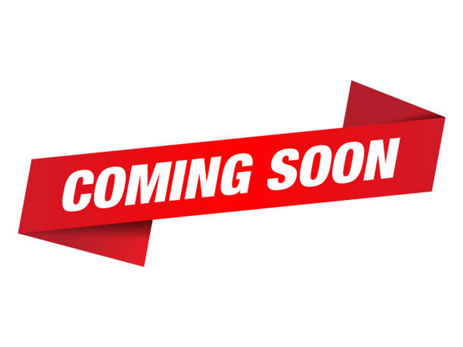 2022 Tesla Model 3 - image 2