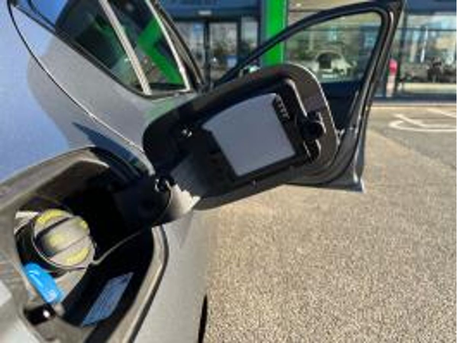 2026 Skoda Octavia SPORTLINE 2.0 TDI 115HP - STRAIGHT CASH PRICE - AVAILABLE FOR JANUARY. €46,995