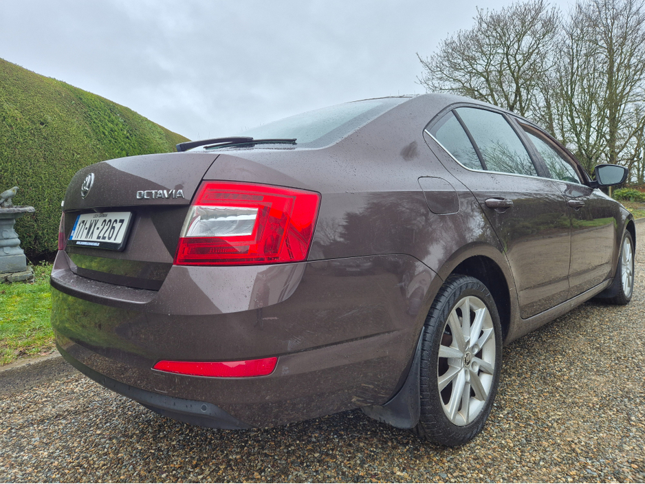 2017 Skoda Octavia - image 8