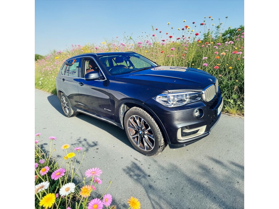 2017 BMW X5 - image 16