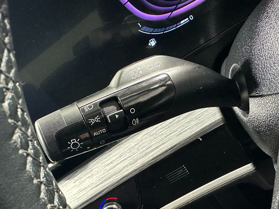 2025 Kia Sportage - image 15