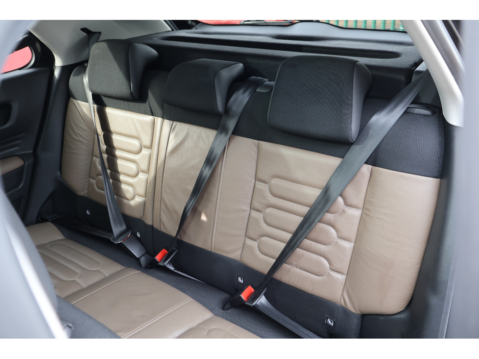 2016 Citroen C4 Cactus BLUE HDI FLAIR €11,295