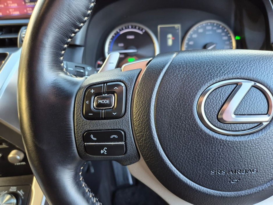 2020 Lexus NX 300 h - image 20