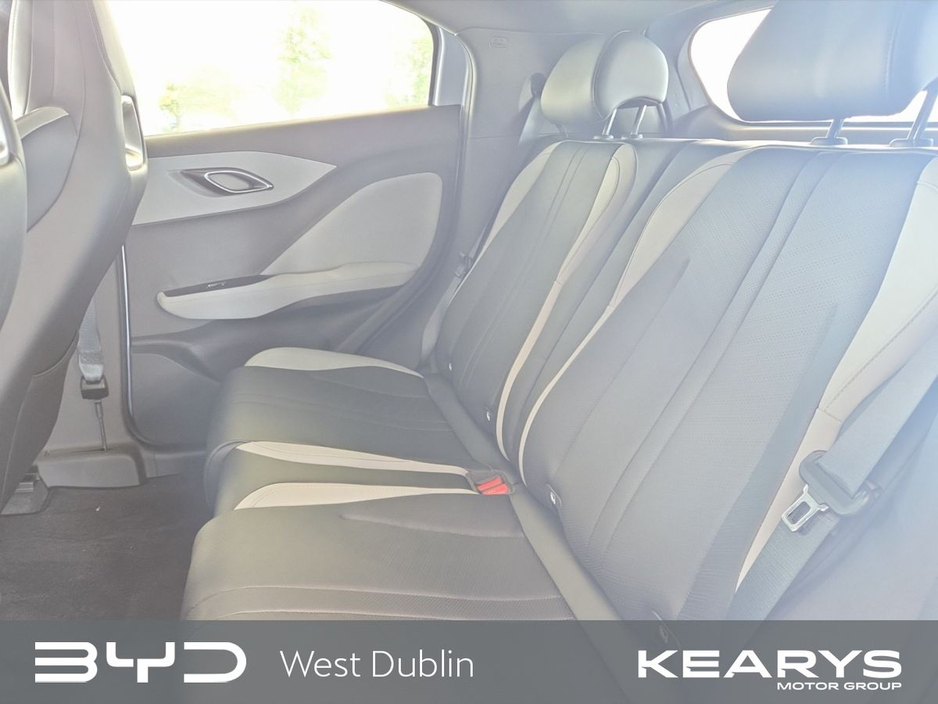 2026 BYD Dolphin - image 8