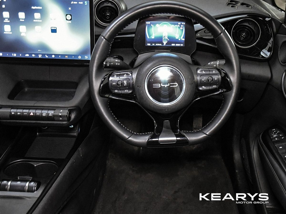 2025 BYD Dolphin - image 25