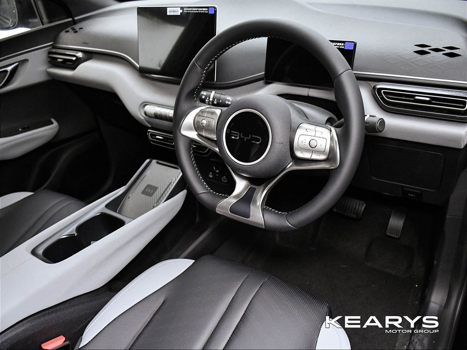 2026 BYD Dolphin Surf - image 11