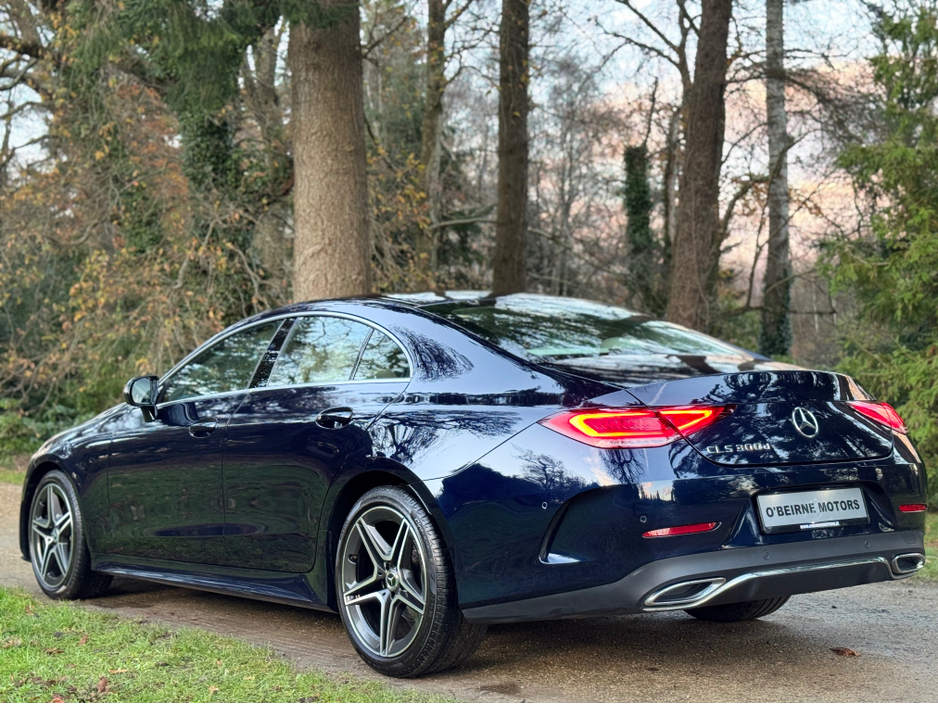 2019 Mercedes-Benz CLS Class - image 39