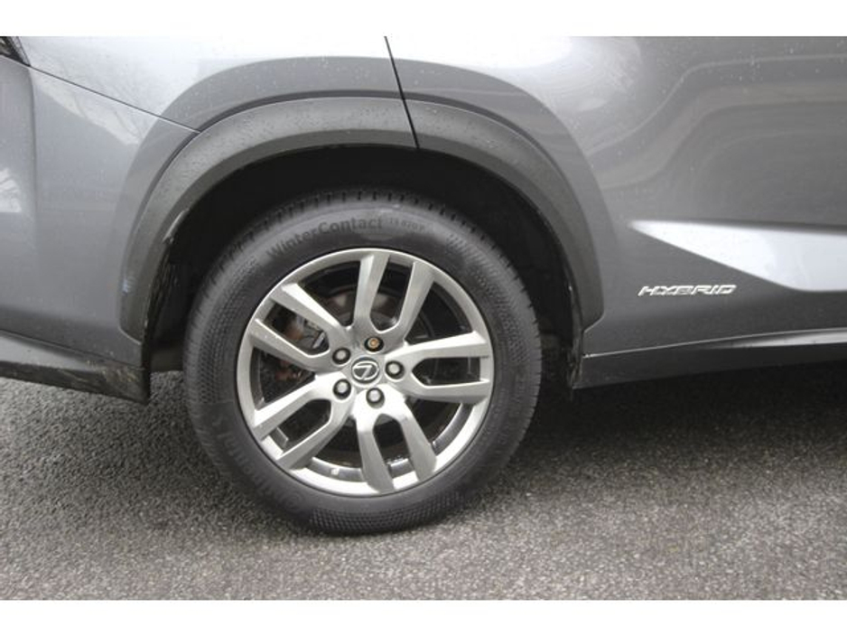 2019 Lexus NX 300 h 300H Premium - 12 M €32,950