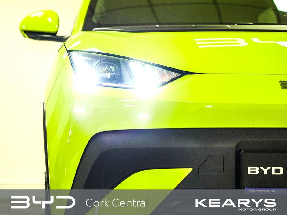 2026 BYD Dolphin Surf - image 7