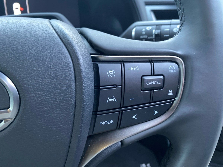 2024 Lexus UX 250 H - image 22