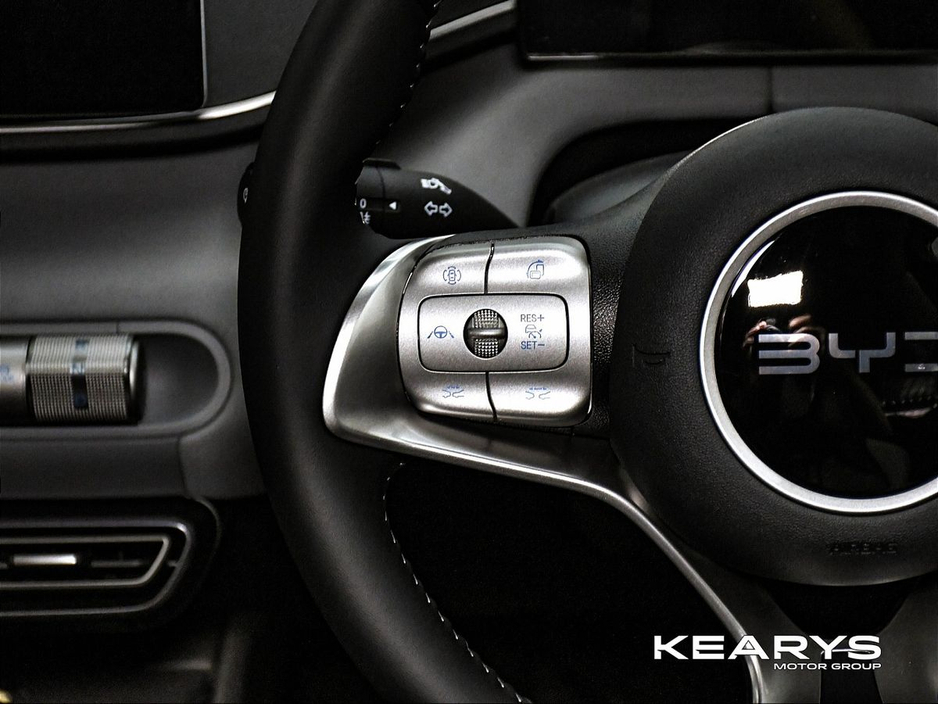 2026 BYD Dolphin Surf - image 17