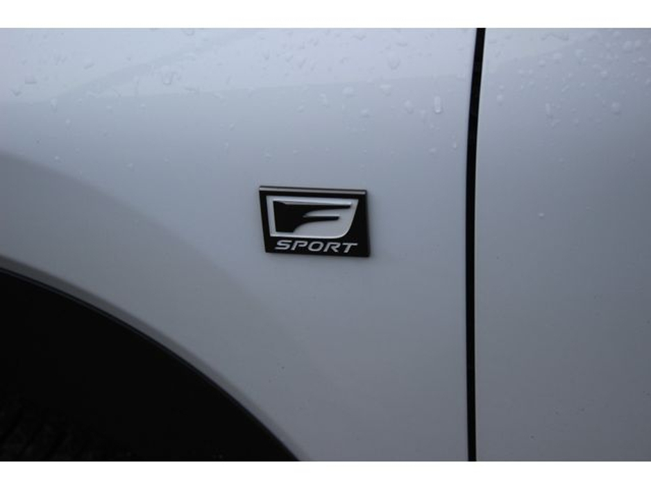 2017 Lexus NX 300 h - image 18