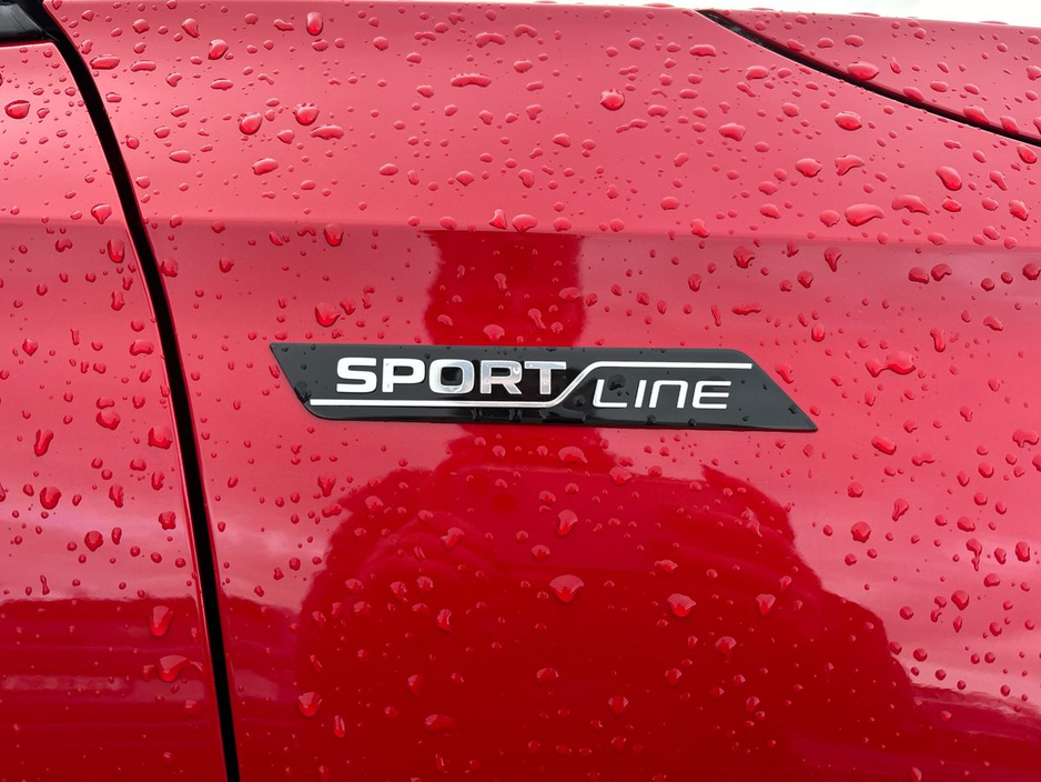 2025 Skoda Kodiaq - image 28