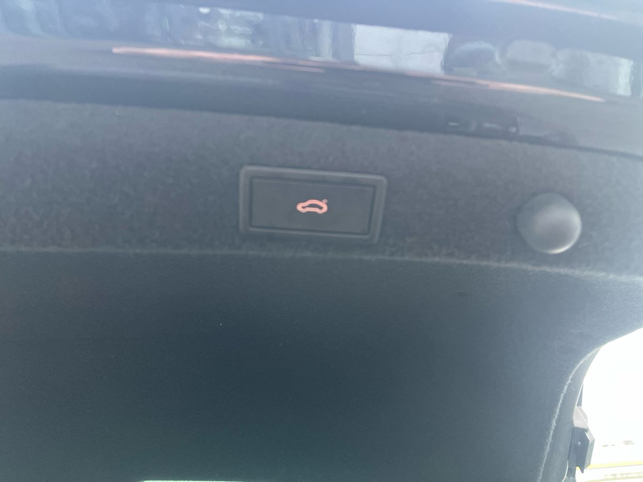 2024 Skoda Octavia - image 13