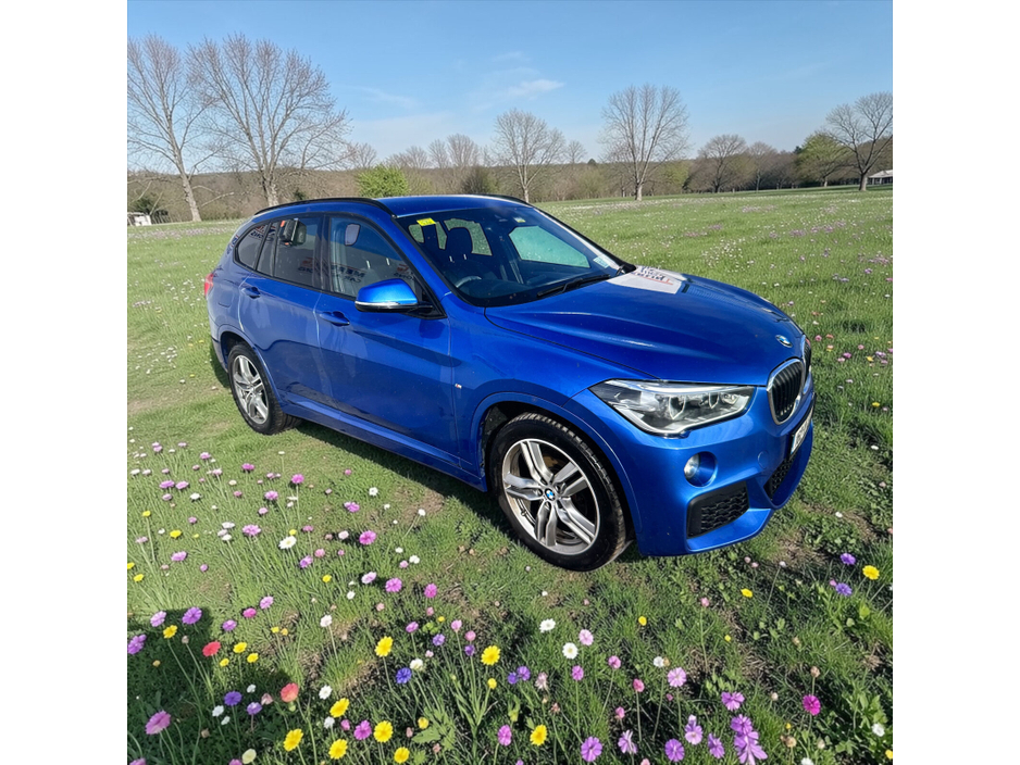 2016 BMW X1 - image 10