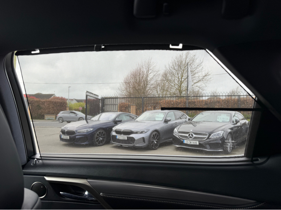 2016 Lexus RX 450 h - image 20