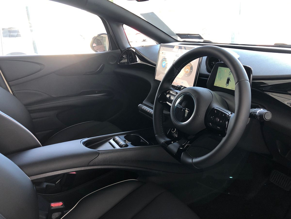 2026 BYD Dolphin - image 9