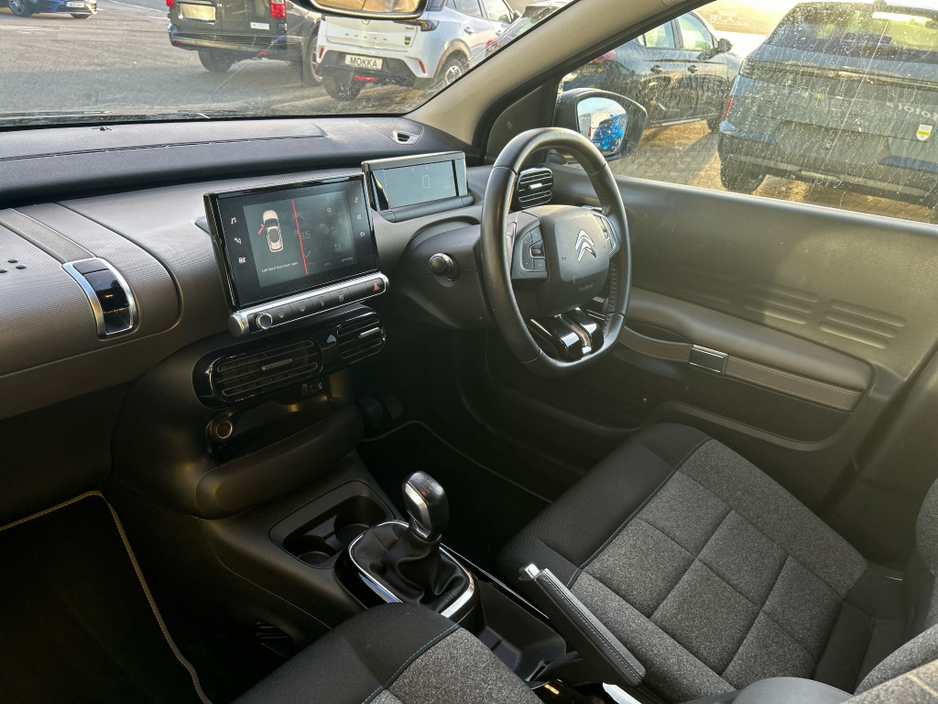 2019 Citroen C4 Cactus FEEL BLUEHDI 100 S&S €15,950