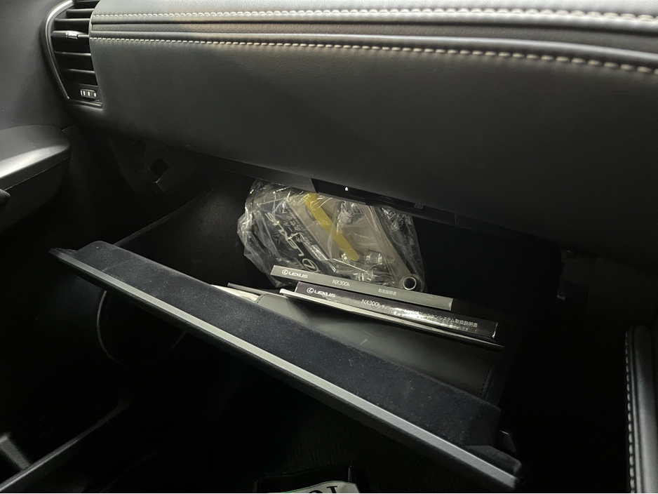 2018 Lexus NX 300 h - image 21