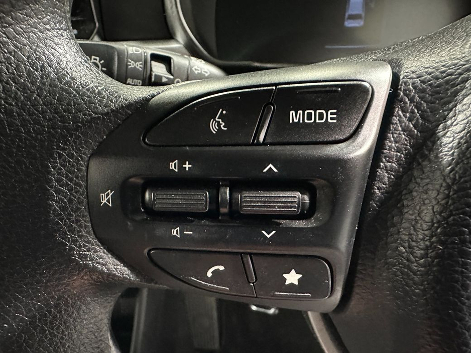 2025 Kia Picanto 1.0 Petrol €17,400