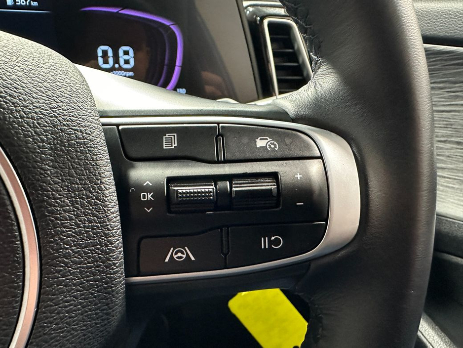 2025 Kia Sportage - image 15